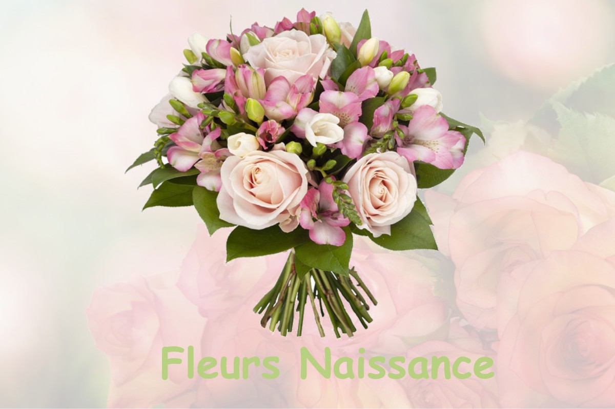 fleurs naissance SAINT-MARTIN-AUX-ARBRES