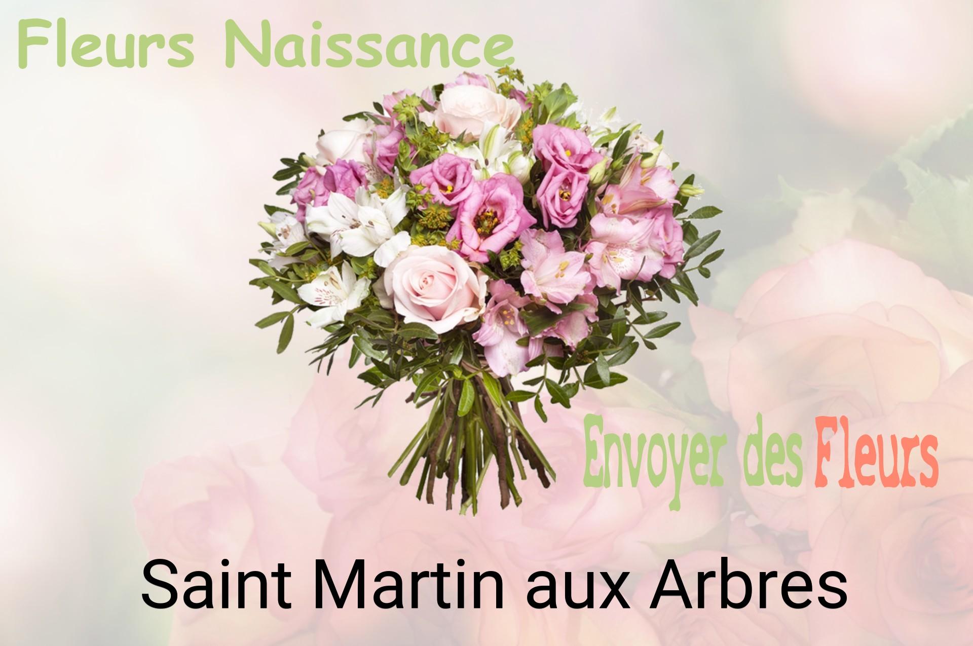 Bouquet de fleurs de naissance livré à Saint-Martin-aux-Arbres